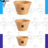 TASA DE PASTA N°125